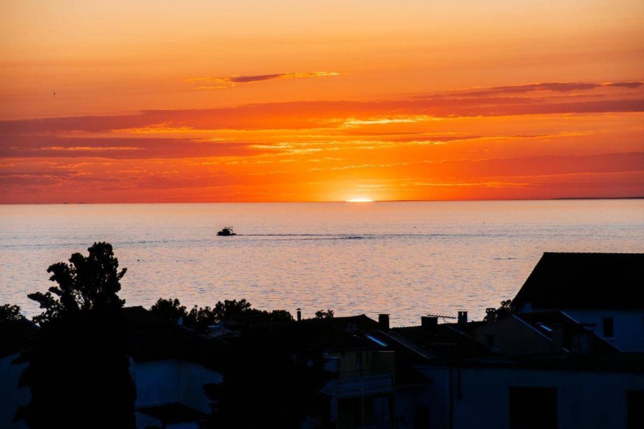 Dedaj Resort - Villa Delux - Luxury Suites