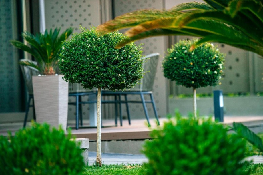 Dedaj Resort - Villa Delux - Luxury Suites