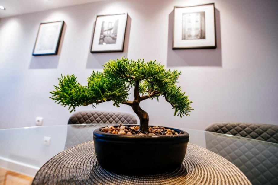 Penthouse Luxury Suite