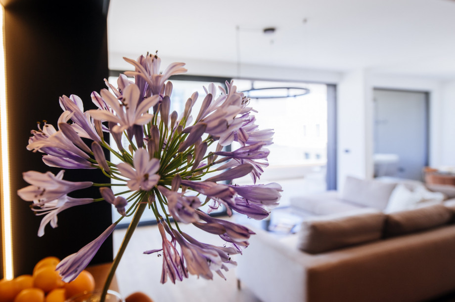 Crystal Holiday Residence II Luxury apartment with pool