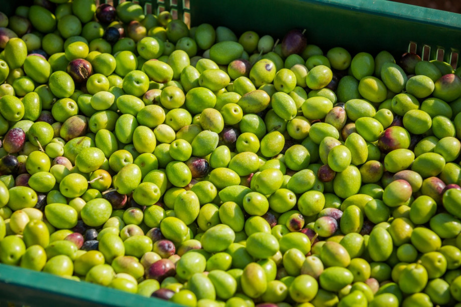 Villa NAI 3.3 - Deluxe Room with sea view