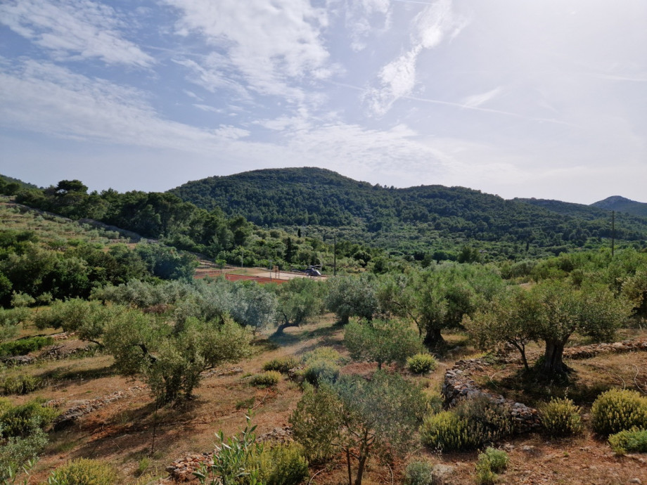 Villa NAI 3.3 - Deluxe Room with olive grove view