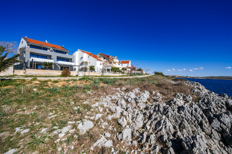 Luxury apartment Budinski