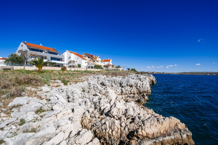 Luxury apartment Budinski