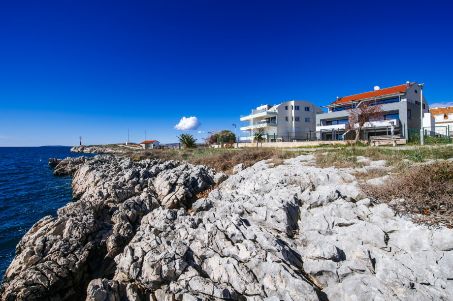 Luxury apartment Budinski