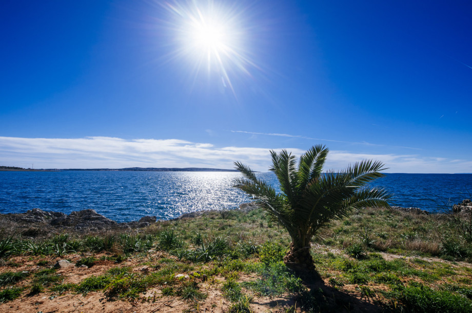 Luxury apartment Budinski