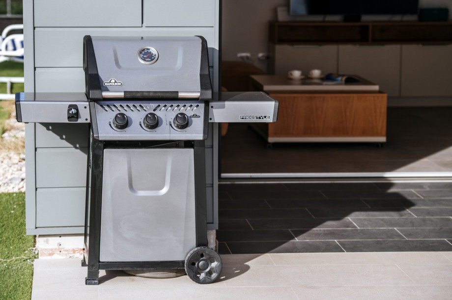 Luxury apartment Budinski