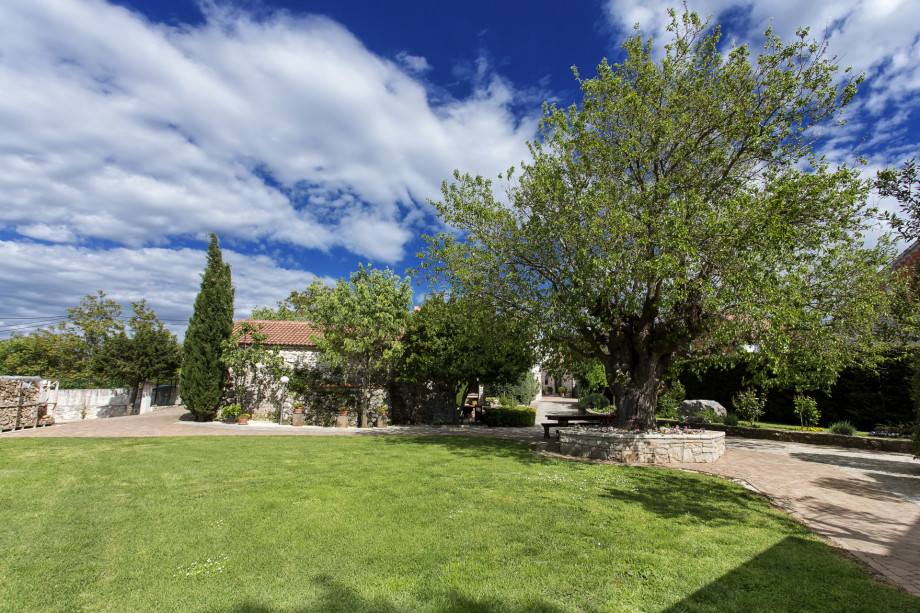 VILLA RAŽNJEVIĆA DVORI A.D. 1307