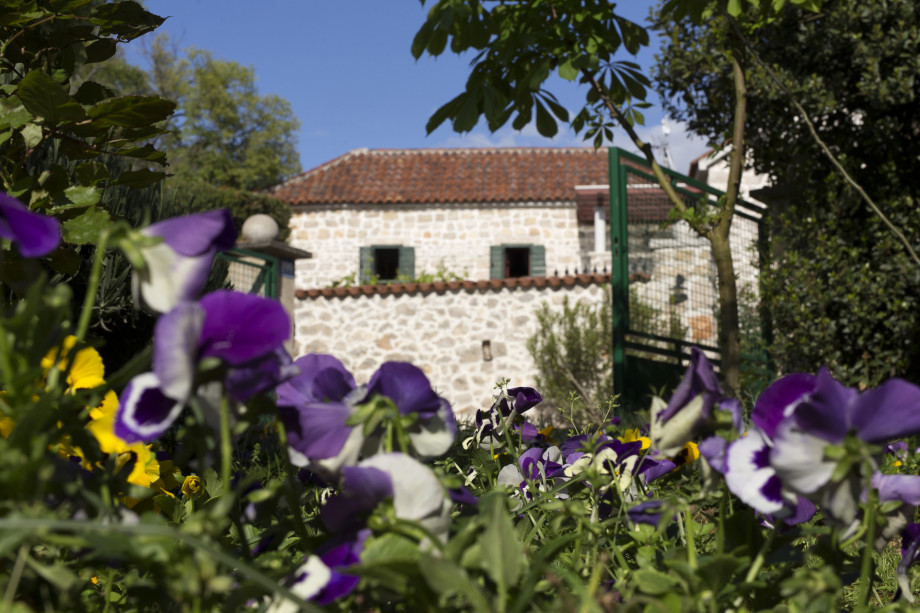 VILLA RAŽNJEVIĆA DVORI A.D. 1307