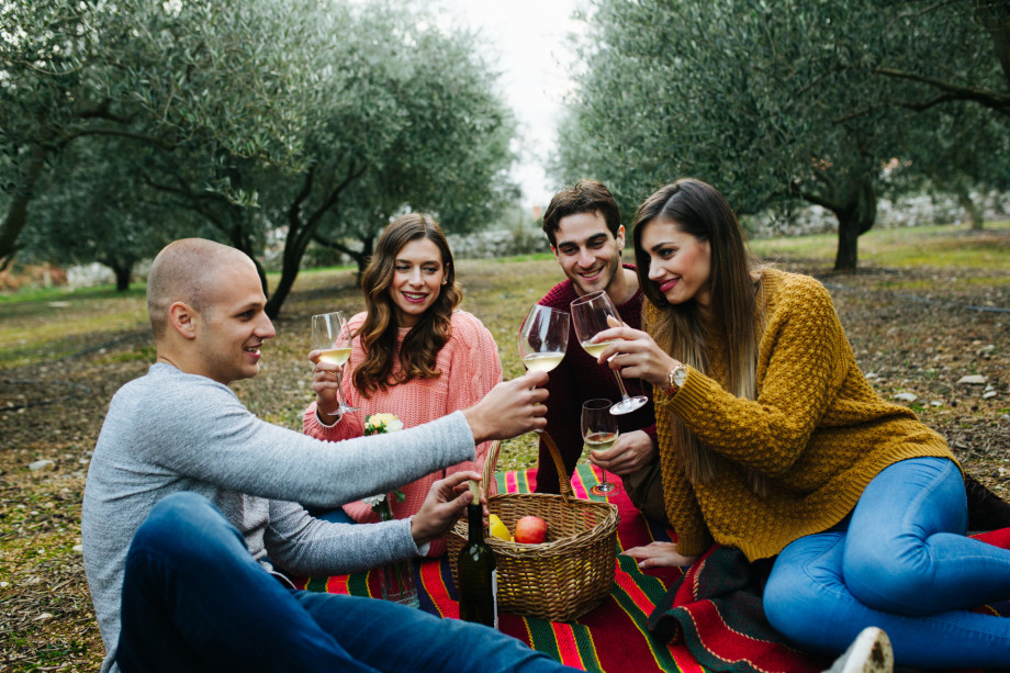 VILLA RAŽNJEVIĆA DVORI A.D. 1307