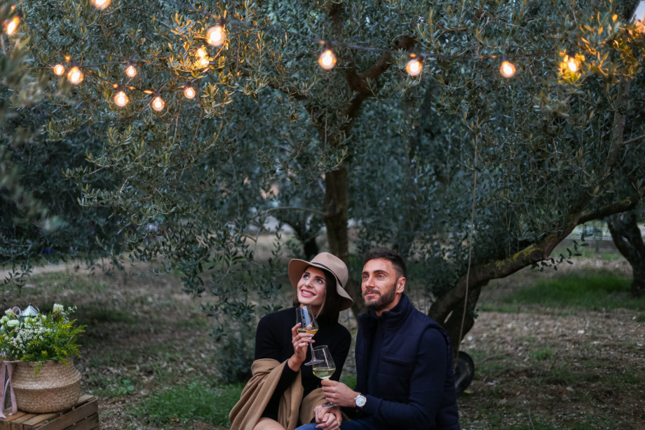 VILLA RAŽNJEVIĆA DVORI A.D. 1307