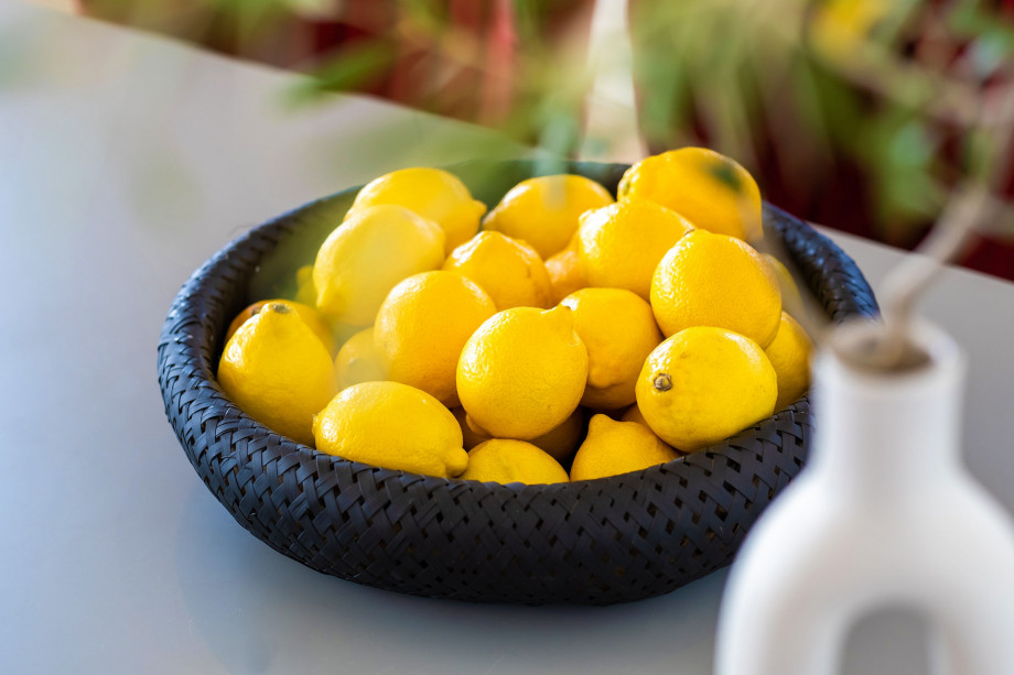 VILLA PLANT VILLAS IV