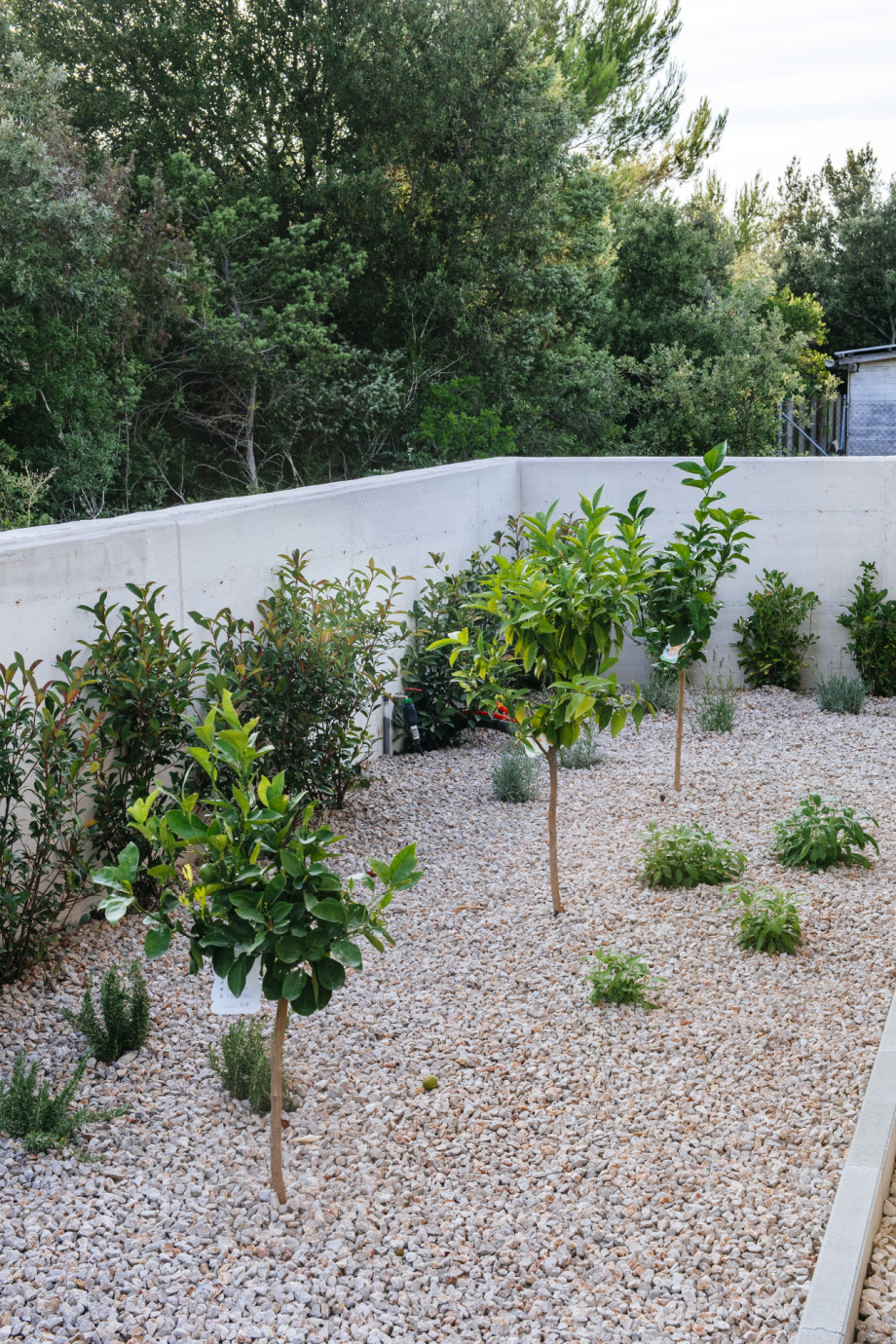 VILLA RELAX PETRČANE