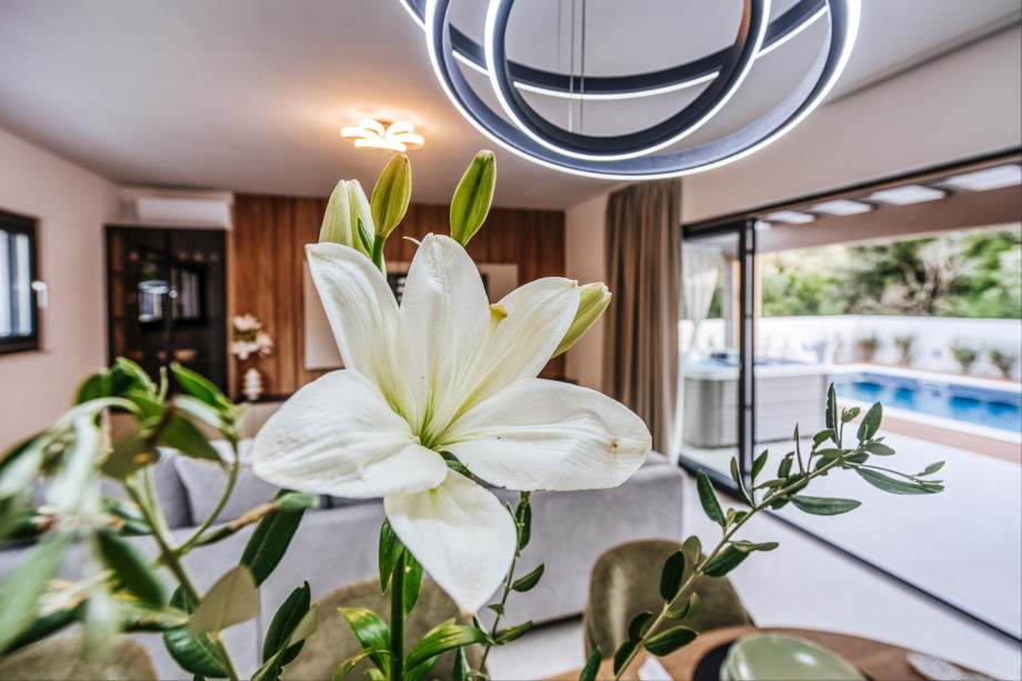 VILLA RELAX PETRČANE