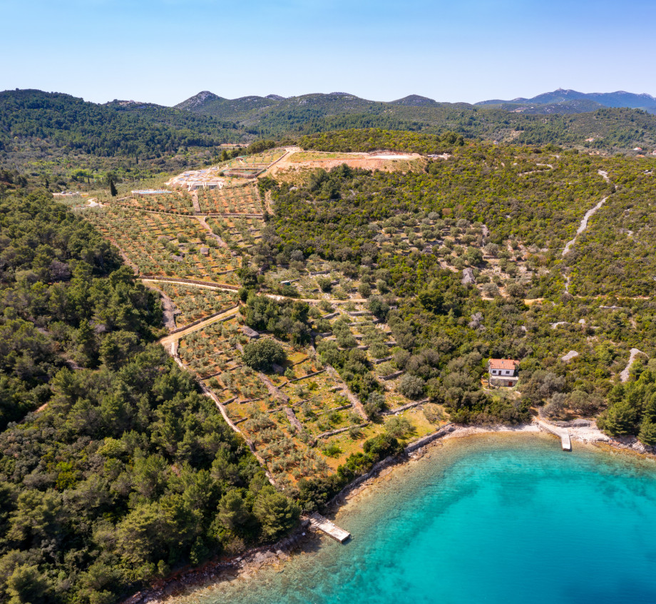 Villa NAI 3.3 - Deluxe Suite with sea view